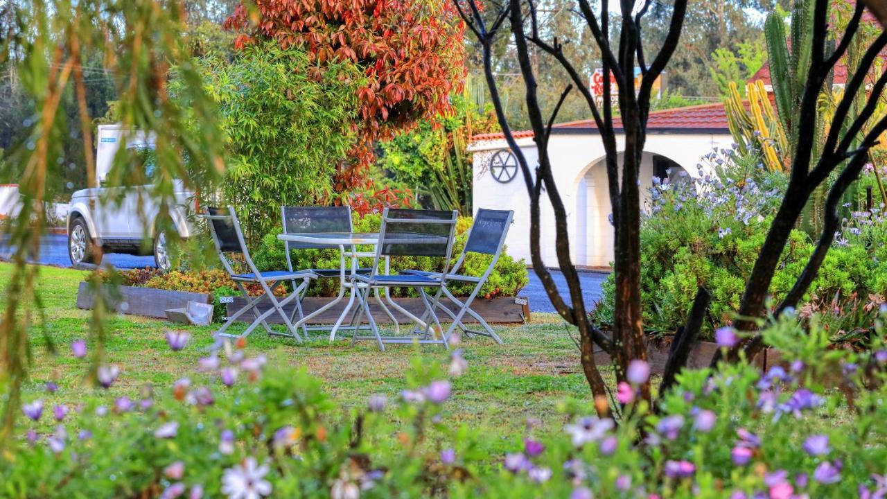 Azalea Motel Coonabarabran Eksteriør billede