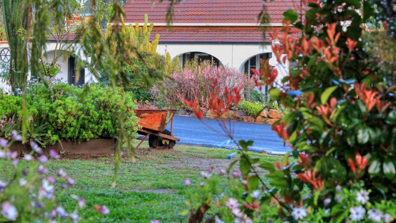 Azalea Motel Coonabarabran Eksteriør billede