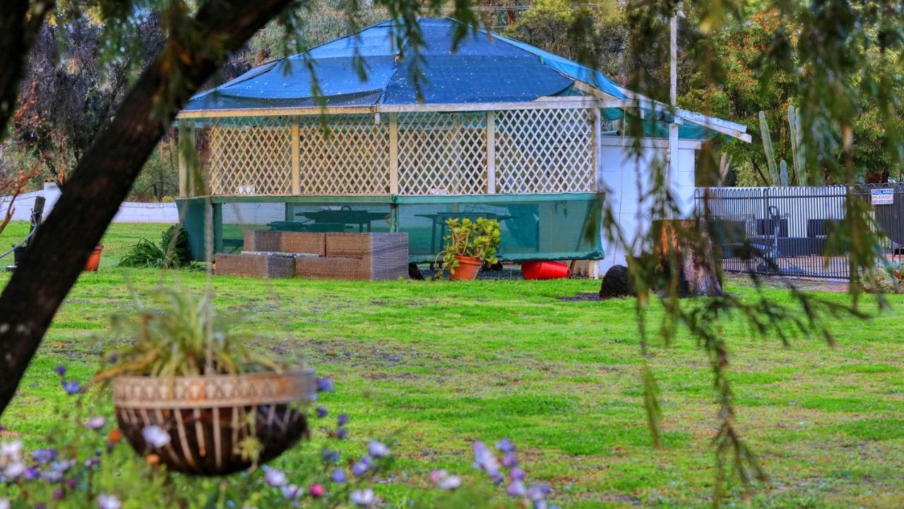 Azalea Motel Coonabarabran Eksteriør billede