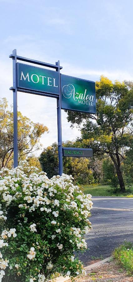 Azalea Motel Coonabarabran Eksteriør billede