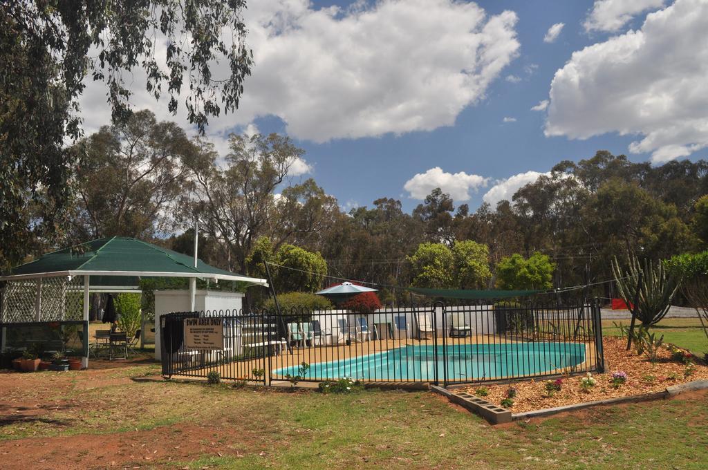 Azalea Motel Coonabarabran Eksteriør billede