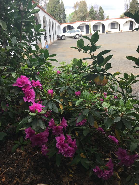 Azalea Motel Coonabarabran Eksteriør billede