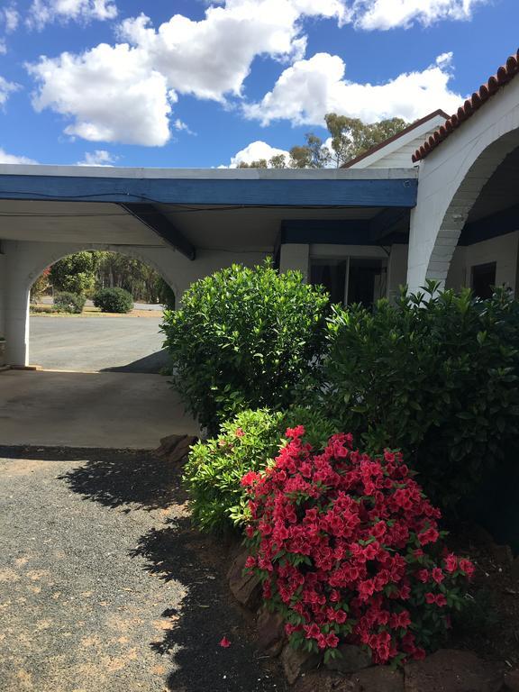 Azalea Motel Coonabarabran Eksteriør billede