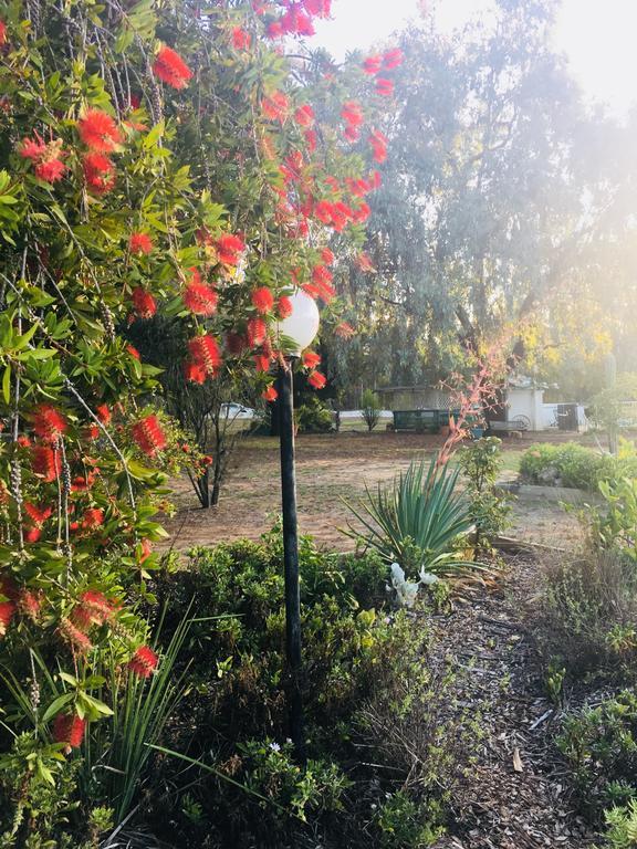 Azalea Motel Coonabarabran Eksteriør billede